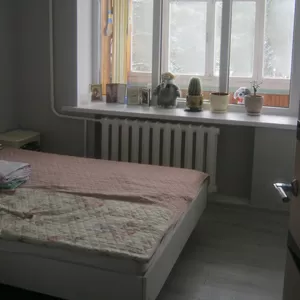 2-комнатная квартира,  г. Светлогорск,  ул. Октябрьская,  д.54