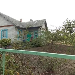 Продается дом в деревне Медведово (17 км от города Светлогорска).